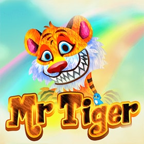 Mr Tiger